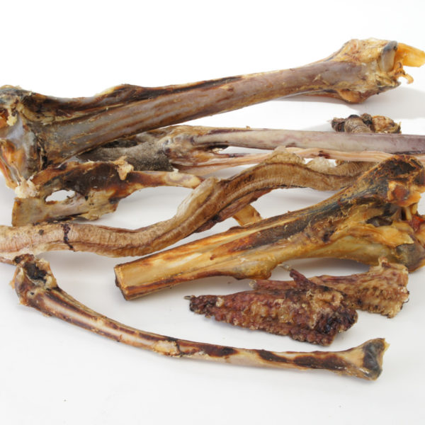 Tierfutter Knochen vom Strauß für den Hund