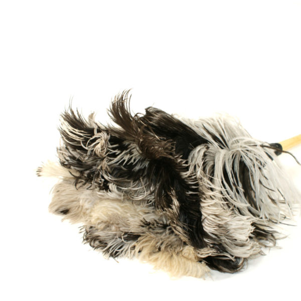 Staubwedel - Straussenfedern