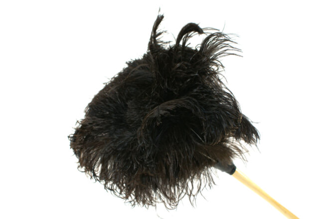 Straussenfedern schwarz