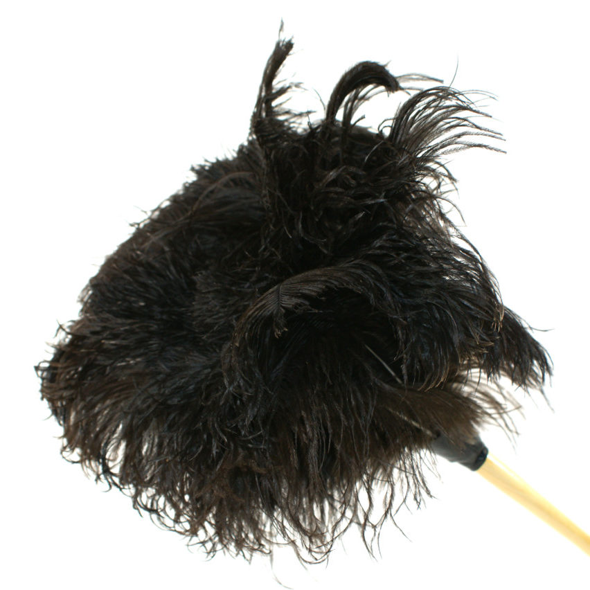 Straussenfedern schwarz