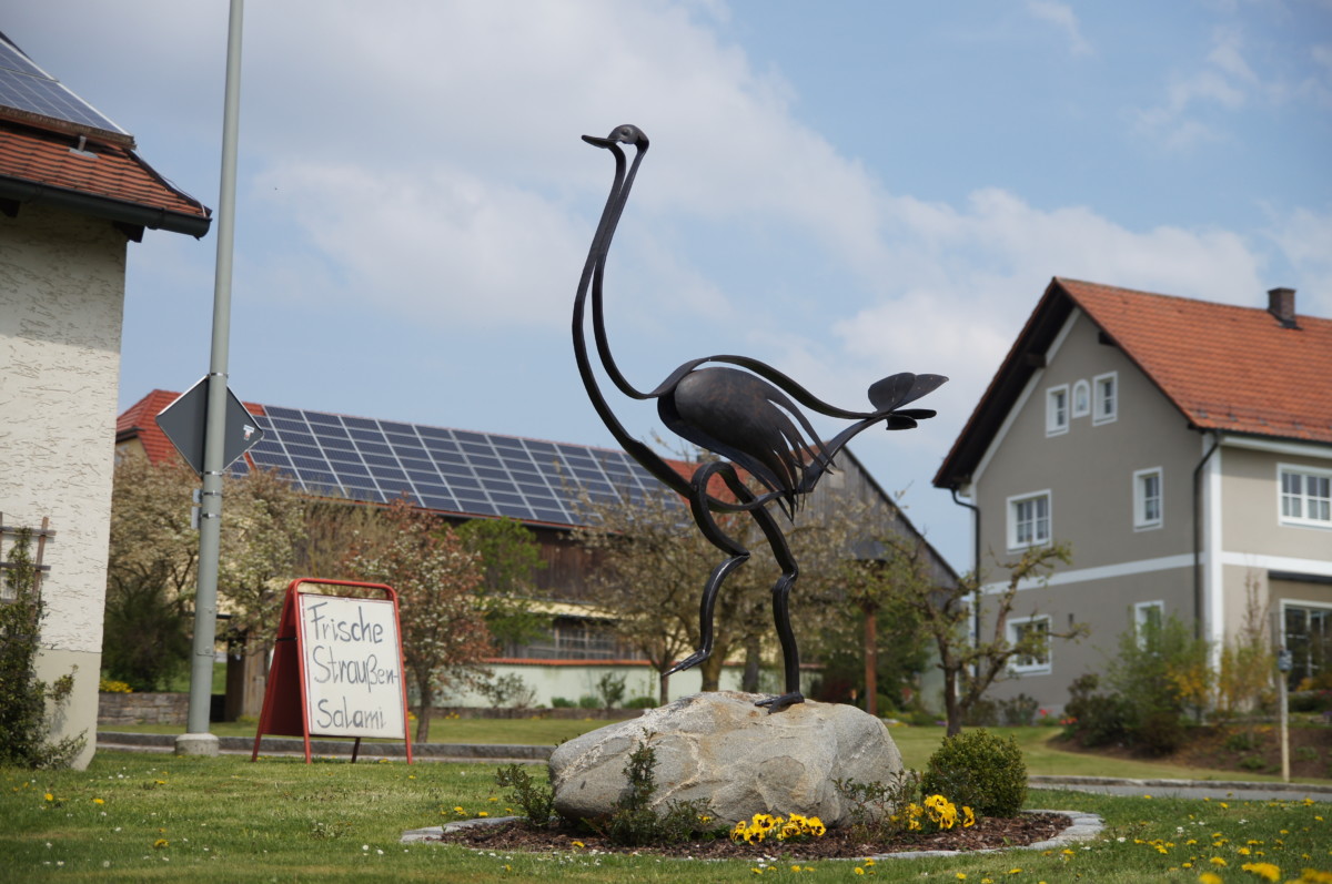 Straußenhof Kotzenbach - Eisenvogel