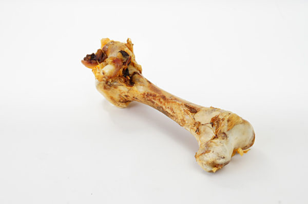 Oberschenkelknochen vom Strauß - Hundeknochen kaufen